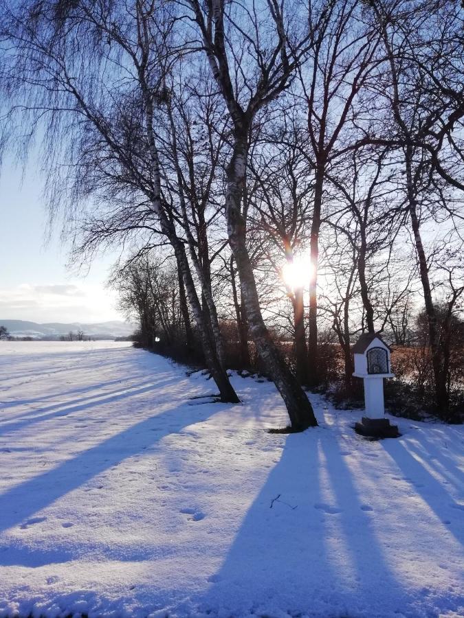 Landhaus Schaidreith Ferschnitz Esterno foto