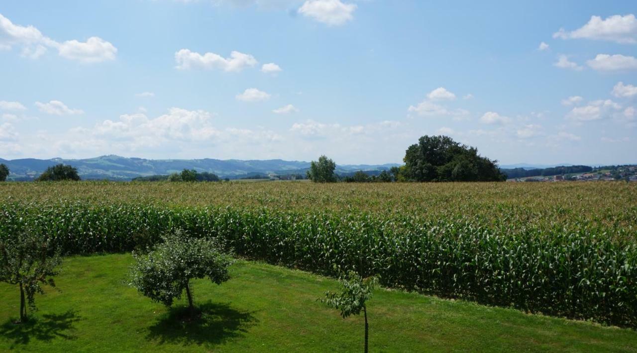 Landhaus Schaidreith Ferschnitz Esterno foto